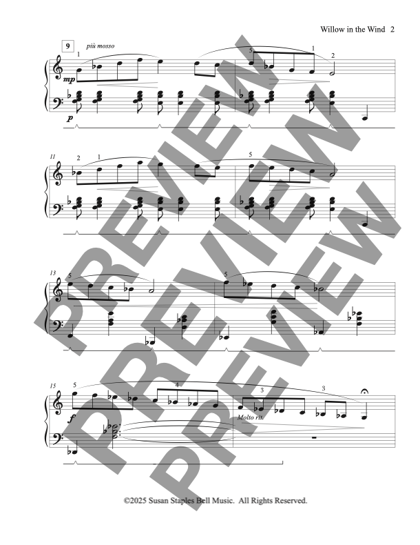Willow in the Wind, Blues Solo - Image 3